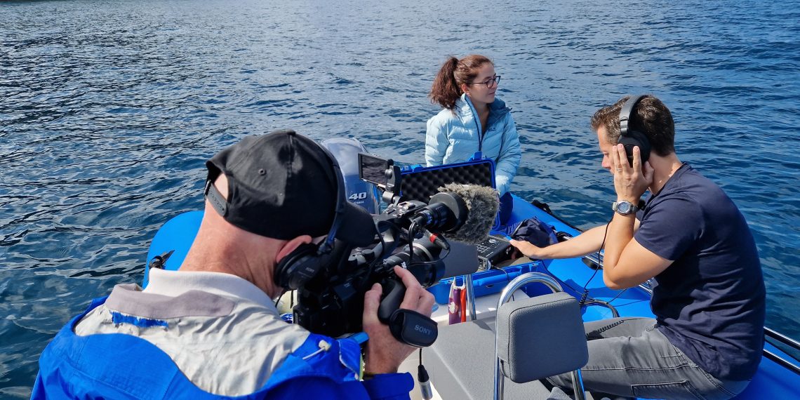 With ARD & Weltspiegel: Inside the Gulf Where Dolphins Connect Slovenia, Italy, and Croatia