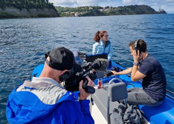 With ARD & Weltspiegel: Inside the Gulf Where Dolphins Connect Slovenia, Italy, and Croatia
